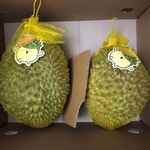 Proveedor de Durian Congelado de Vietnam, Alta Calidad, Precio Competitivo y las MEJORES OFERTAS - Product Image 1