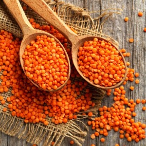 Lentilles Rouges Biologiques Séchées Premium, Masoor Dal Décortiqué, Prix Usine, Vente en Gros, Légumineuses Nouvelle Récolte, Exportateur en Vrac, Fournisseur Indien - Product Image 2