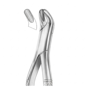 Pinzas de Extracción (Modelo Americano) 1238 - Instrumento Dental de Acero Inoxidable de Primera Calidad, Clase I, de Vitra Instruments - Product Image 2