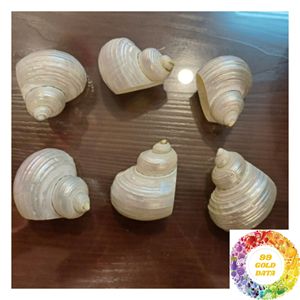 Anneaux de serviette en nacre en gros pour la décoration de mariages, les tables de restauration, les boutiques de cadeaux et les distributeurs - Product Image 1