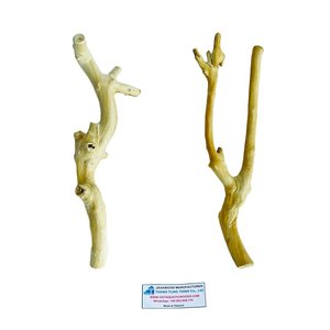 Soporte de Madera de Java para Pájaros, Tendencia 2026, Percha Grande para Jaula de Pájaros, Accesorios Sostenibles para Mascotas - Product Image 5