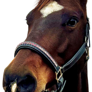 Harnais de cheval en cuir de buffle indien de haute qualité, rembourrage doux, cristaux de strass roses, selle anglaise confortable et durable - Product Image 1