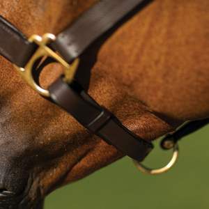 Venta al por mayor: Equipo ecuestre de cuero duradero, impermeable, tipo halter, para carreras de caballos. - Product Image 3