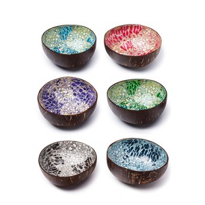 Eco-Friendly <b>Coconut</b> <b>Shell</b> Bowls with Eggshell Vietnamese Lacquered <b>Coconut</b> Salad Bowl for Kitchenware Home Decoration Vietnam - Product Image 6