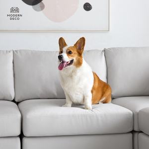 Modulare Sofa garnitur Möbel Wohnzimmer Schnitt Stoff Sofa Kratz fest Sofa Couch Katze Hund Haustier freundlich - Product Image 2