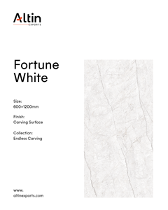 กระเบื้องพอร์ซเลนเคลือบเงาขนาด 600x1200 มม. รุ่น Fortune White ลายแกะสลักแบบไร้รอยต่อ เกรด A+ ขนาด 60x120 ซม. สำหรับผนังและพื้น - Product Image 2