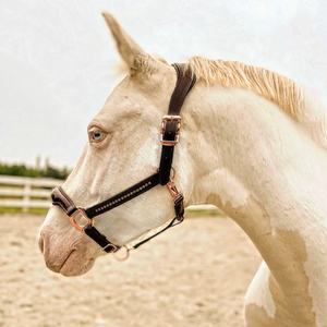 2024 cuir véritable selle anglaise cheval licou - Product Image 1