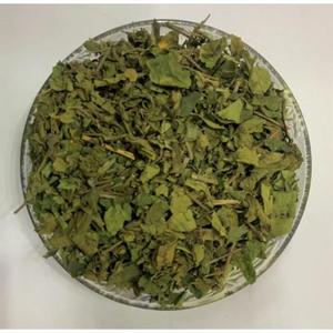 Hojas Secas de Gudmar para Té Herbal y Apoyo al Bienestar Sanguíneo, Hierba Natural para el Bienestar, Disponible en Grandes Cantidades - Product Image 2