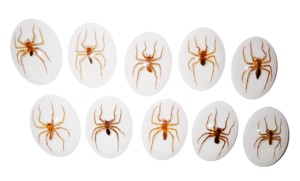 Araña Acuática, Espécimen Real, Cabujón de Plástico Ovalado de 30x40 mm, Base Plana Blanca, para Manualidades y Joyería - Product Image 3