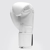 Gants de boxe en cuir de vachette blanc X Line – Équipement de combat et d'entraînement premium pour le kickboxing et le Muay Thai