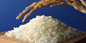 ข้าวญี่ปุ่นเวียดนาม - Product Image 2