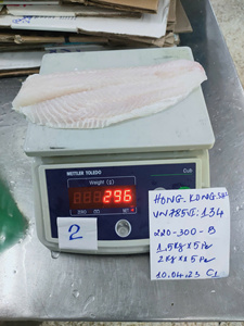 Filete de Pangasius Blanco Congelado de Grado Exportación IQF 10-12cm Sin Aditivos Bajo en Carbohidratos para Asar y Freír a Granel Marca VH Food - Product Image 2