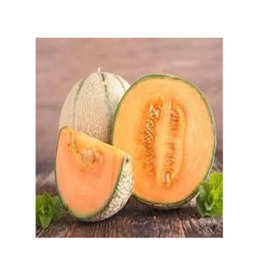 Melón Cantalupo Fresco Premium, Dulce y Jugoso, para Distribución al por Mayor y Mercado de Exportación - Product Image 4