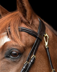 Nueva y Moderna Brida de Cuero Duradera de Primera Calidad 100% para Caballo, Ajustable, para Equitación Inglesa, con Narquera Acolchada Suave y Personalizable - Product Image 6