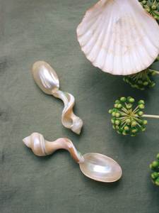 Eco Friendly Natural <b>Abalone</b> <b>Shell</b> Spoon Luxury Dessert Ice Cream Utensils Bulk Wholesale Manufacturer Vietnam - Product Image 2
