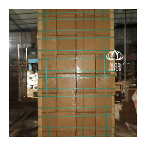 Disques de tourbe de coco de qualité supérieure, prix de gros abordable, granulés pour semis, milieu de culture haut de gamme, approvisionnement en vrac direct usine, fabrication OEM - Product Image 1