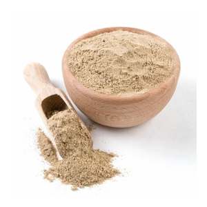 Poudre d'extrait de champignon de qualité supérieure, formule naturelle à base de plantes de qualité alimentaire, pour stimuler l'immunité, soutenir l'énergie et favoriser la santé globale - Product Image 1