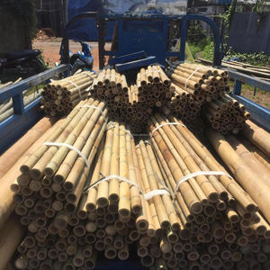 Poteaux en bambou doré du Vietnam, paquet de 1 à 10 m de long, solides et épais, pour l'agriculture, la construction et la décoration intérieure - Product Image 3