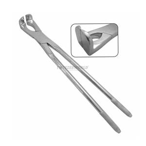 Pinzas Dentales Equinas Root Horse de 19 Pulgadas de Largo, Acero Inoxidable Forjado, Certificación CE, 1 Año de Garantía, IMPLANTES DENTRIC - Product Image 2