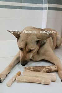 Juguete Ecológico Eco2go Vietnam, Sin Químicos, Resistente para Masticadores Agresivos - Madera Orgánica 100% Natural para Perros - Product Image 6