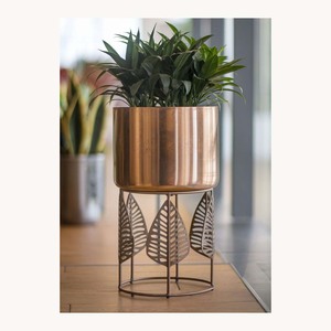 Cesta colgante de lujo para plantas con arte botánico refinado para decoración de balcones, patios y jardines. - Product Image 6