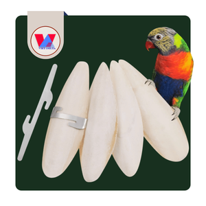 Hueso de Sepia Natural Sostenible de 12-15cm, Seco y Entero, el Más Vendido, para Aves y Loros, Juguete para Recortar el Pico - Product Image 1