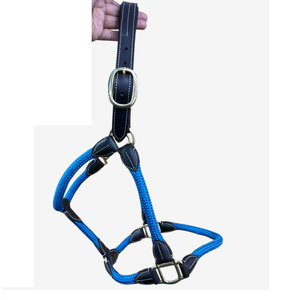 Leather Horse Halter <b>BraideD</b> Fancy Stitch Soft Padded Headstrap Brass Steel Hardware Western Style Horse equipment Horse halter - Product Image 3