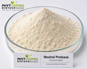 Enzima de Proteasa Neutra de Grado Alimenticio de Exportación India para la Producción de Péptidos por Fermentación y Modificación de Proteínas en Venta - Product Image 1