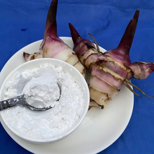 Poudre d'amidon d'arrowroot biologique à bon prix, goût naturel pour l'alimentation et les ingrédients, emballée en sachet, provenant du Vietnam - Product Image 1