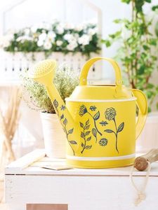 Arrosoir en métal vintage élégant pour une utilisation décorative en jardin, avec une longue becquetée fonctionnelle et une construction robuste - Product Image 2