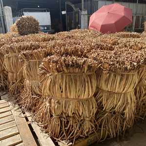 Cordón Natural de Jacinto de Agua Crudo de Vietnam para Artesanías y Productos Tejidos, Mejor Precio de Fábrica en Vietnam - Product Image 1