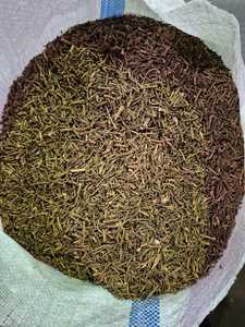 Clavos Aromáticos Secos de Alta Concentración de Aceite de Indonesia, MOQ 10 MT, Marca Global Agro Komoditi, Envío a Todo el Mundo, B2B - Product Image 6