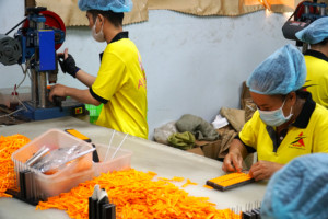 มีดโกนปลอดภัยสองคมสำหรับผู้ชาย - Product Image 3