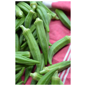 Okra frais entier nutritif très demandé pour les distributeurs alimentaires - Product Image 2