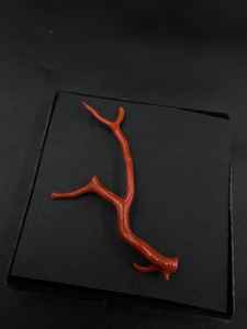 Cuentas de Coral Rojo de Rajasthan 100% Naturales de Alta Calidad, Gema en Bruto para Joyería, Forma de Árbol, 14ct - Product Image 2