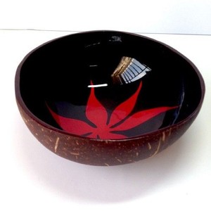 Tazón de Coco Robusto al por Mayor de Vietnam, Resistente para Uso Diario - Product Image 3