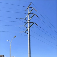 Poteau électrique en acier galvanisé à chaud de 25, 30 et 40 pieds pour usage extérieur, certifié ISO9001, garantie 5 ans