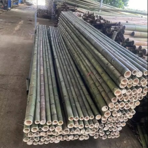 Durable Bamboo <b>Pole</b> Strong Structure <b>for</b> <b>Garden</b> Support and Building Projects - Product Image 1