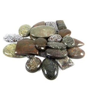 Lote de Huesos de Dinosaurio Naturales, 100 g, Formas Mixtas, Cabujones de Piedras Preciosas para Joyería - Product Image 1
