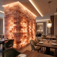Briques et carreaux de sel rose de l'Himalaya pur pour la thérapie par le sauna, les murs de spa et la décoration intérieure architecturale moderne