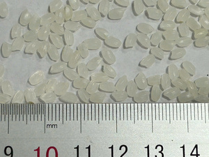 Riz de Konjac Shiratake à Grains Courts Séché, Faible en Calories, Certifié Halal et Casher, Sans Gluten, Zéro Matière Grasse, Vente en Gros - Product Image 6