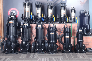 Hydroplus International 0.5HP Sewage <b>Submersible</b> <b>Pump</b> 32MM Outlet High Flow Durable Motor 220V For Domestic And Industrial Uses - Product Image 5