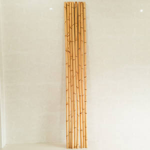 Bâton de rotin en provenance du Vietnam, matériau naturel de ferme pour la production artisanale, qualité supérieure - Product Image 4