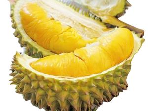 ทุเรียนสดขายดีจากเวียดนาม: คุณภาพดีที่สุดในราคาต่ำสุด - Product Image 4
