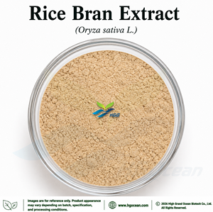 สารสกัดรำข้าวจากโรงงาน HGO (Oryza sativa L.) เกรดอาหาร อัตราส่วนสารสกัด 4:1 5:1 10:1 20:1 100:1 200:1 - Product Image 1