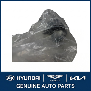 Nouvelles pièces et accessoires pour voitures et camions 254702C400 - Product Image 4