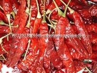 Piment rouge Teja de qualité supérieure, naturel et non transformé, qualité d'exportation