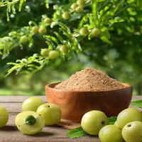Groothandel Amla Fruitextract Natuurlijk Kruidenpoeder Nutraceutisch Ingrediënt Fabrikant Leverancier