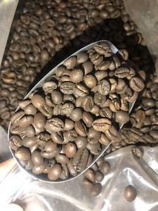 เมล็ดกาแฟโรบัสต้าคั่วเต็มเมล็ดคุณภาพสูงสุดสำหรับเอสเพรสโซ |   บรรจุภัณฑ์แบบกำหนดเอง OEM |   เซเลสเต วิลาโคนิค |   ธรรมชาติ 100% |   กระสอบป่าน 60 กก. - Product Image 4
