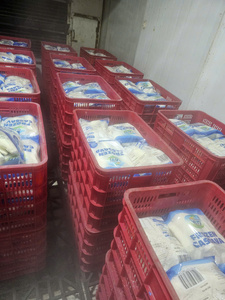 Manioc IQF Congelé Premium Entier Épluché en Vrac Sous Vide pour l'Agriculture et la Vente en Gros - Product Image 5